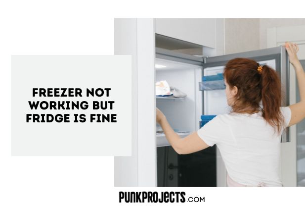 Freezer Not Working But Fridge Is Fine (Why & How to Fix) - PuNk PrOjEcT