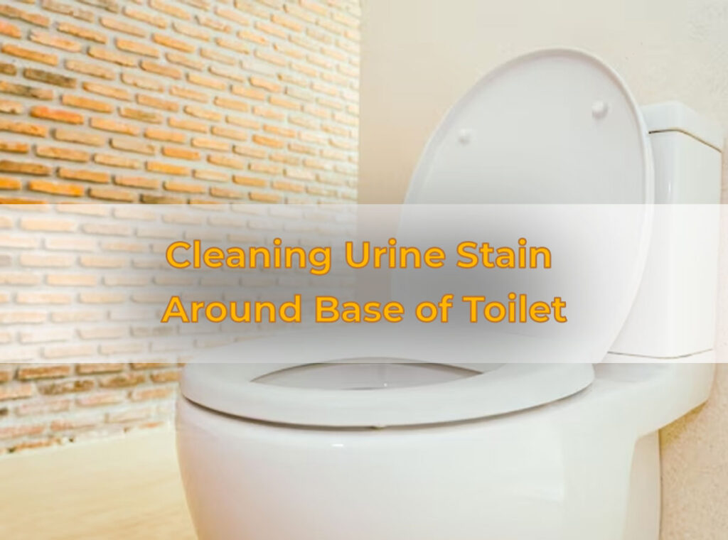 Cleaning Urine Stain
Around Base of Toilet