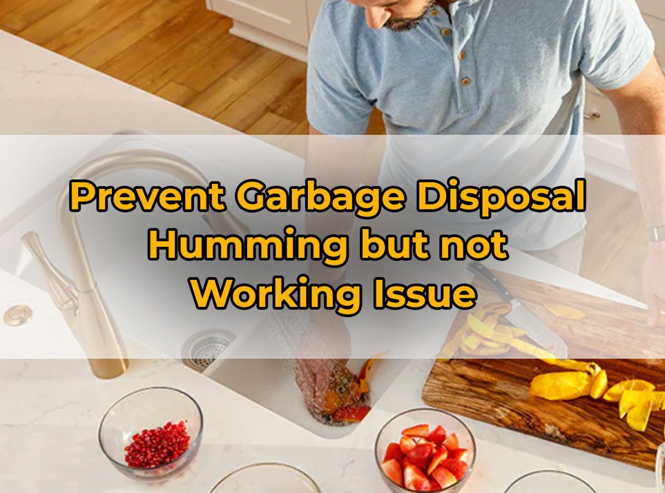 Prevent Garbage Disposal
Humming but not
Working Issue