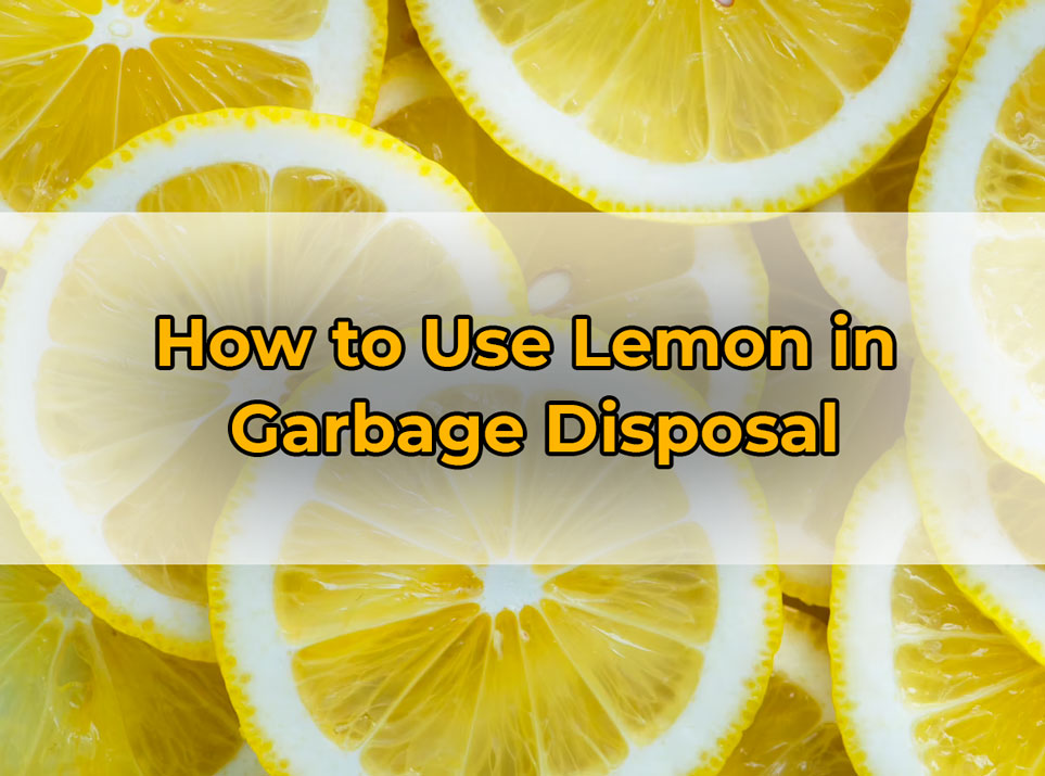 How to Use Lemon in
Garbage Disposal