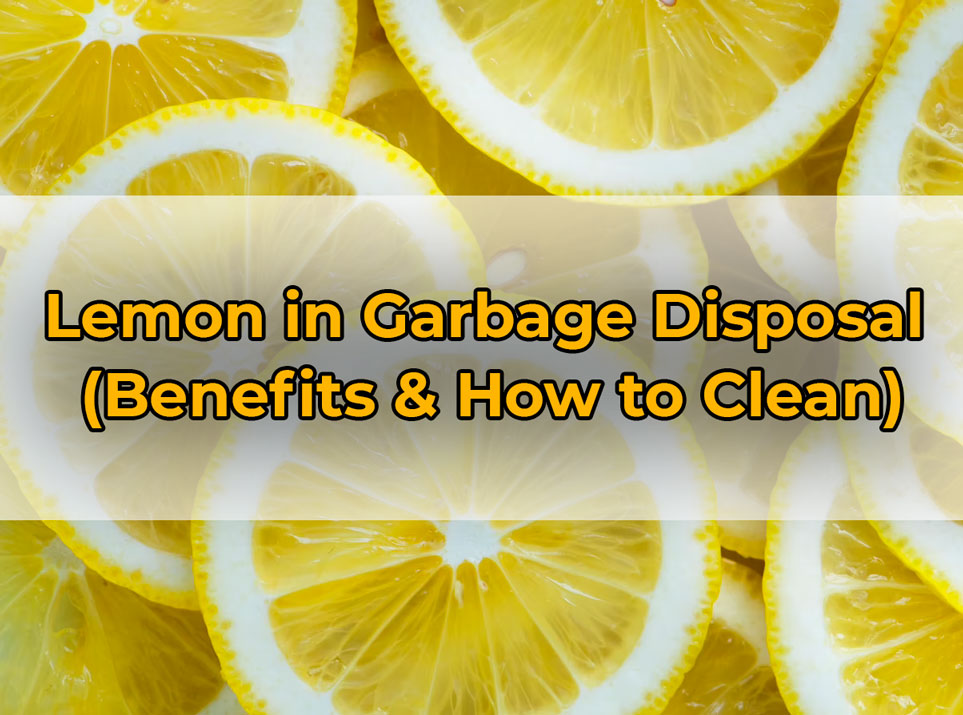 lemon-in-garbage-disposal-benefits-how-to-clean-punk-project