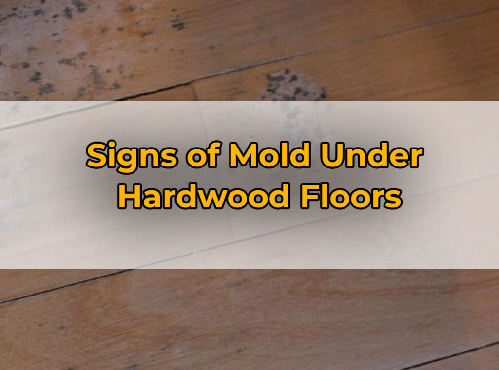 Signs of Mold Under Hardwood Floors