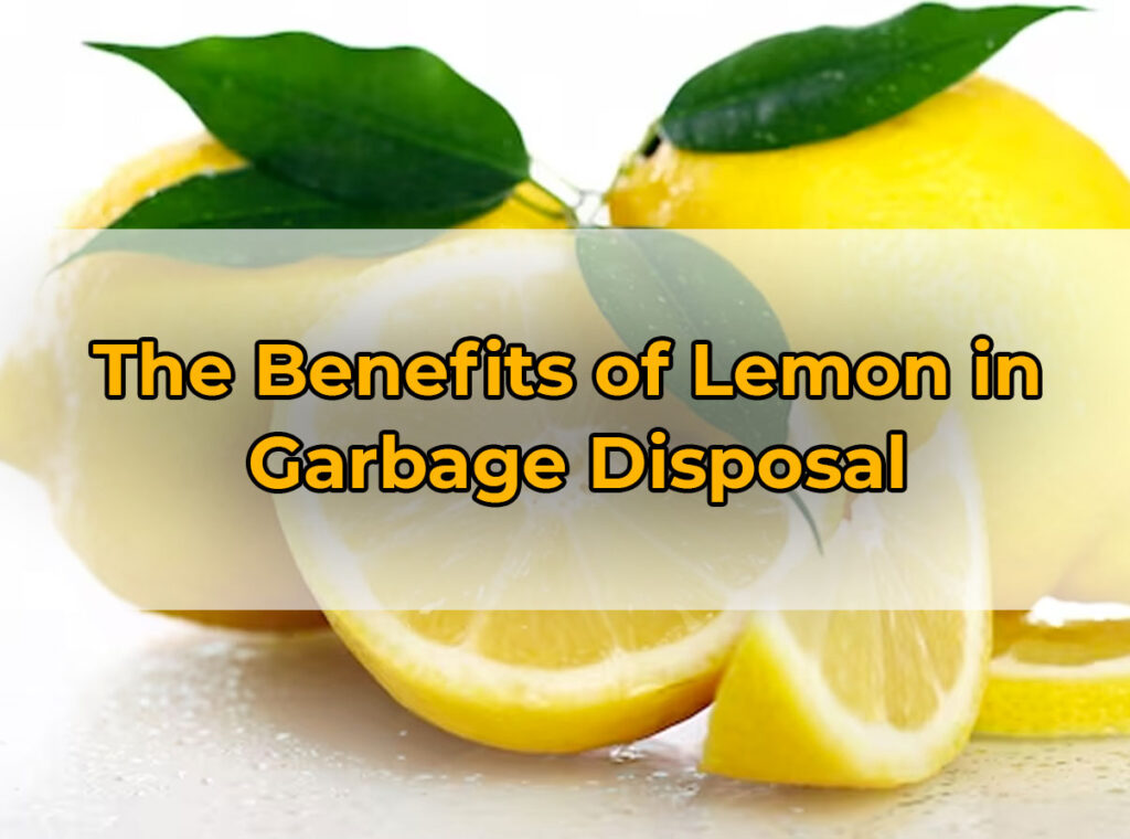 The Benefits of Lemon in
Garbage Disposal