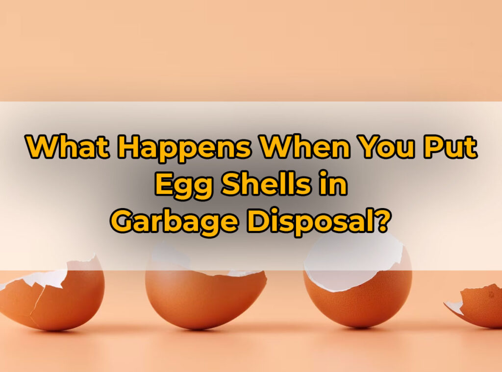 What Happens When You Put Egg Shells in Garbage Disposal?