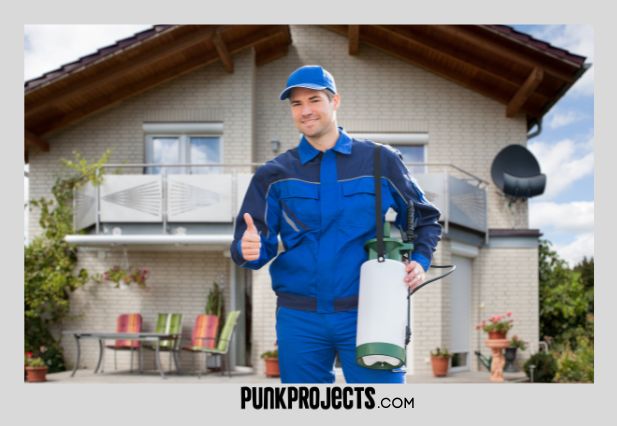 Hiring professional pest control