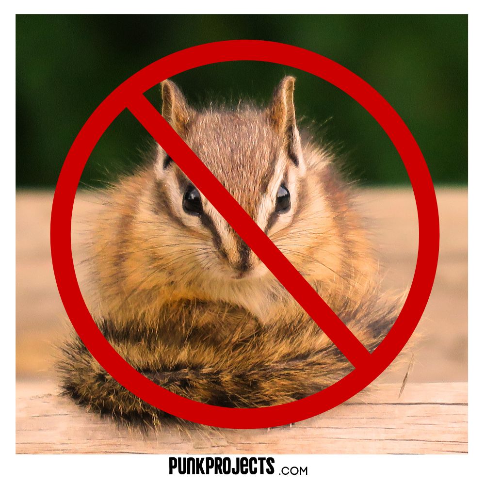 Best Chipmunk Repellent