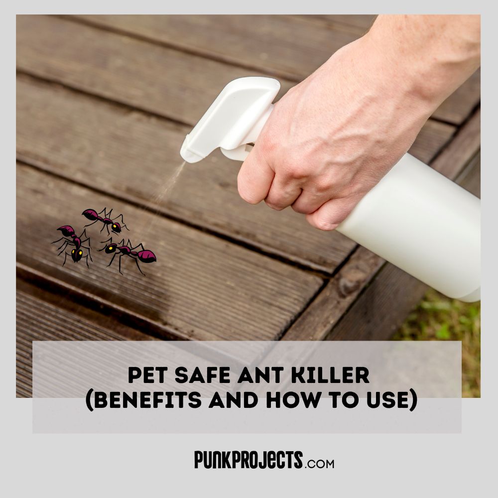 Best Pet Safe Ant Killer Products PuNk PrOjEcT