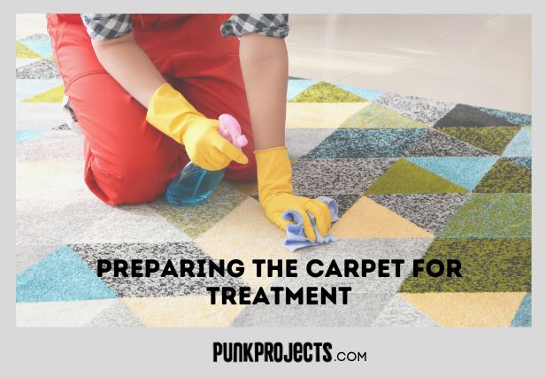 How To Kill Fleas in Carpet