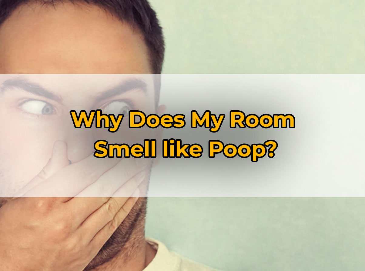 Why Does My Room Smell like Poop? (Solution) PuNk PrOjEcT