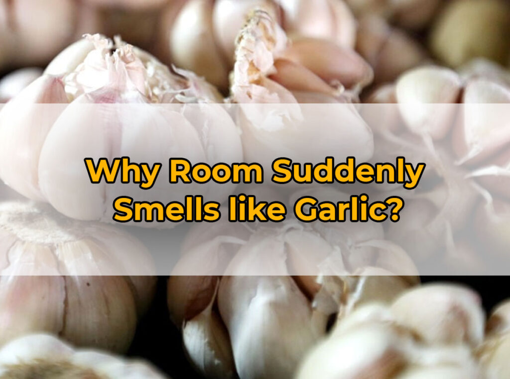 Room Suddenly Smells like Garlic (Why & What to Do) - PuNk PrOjEcT